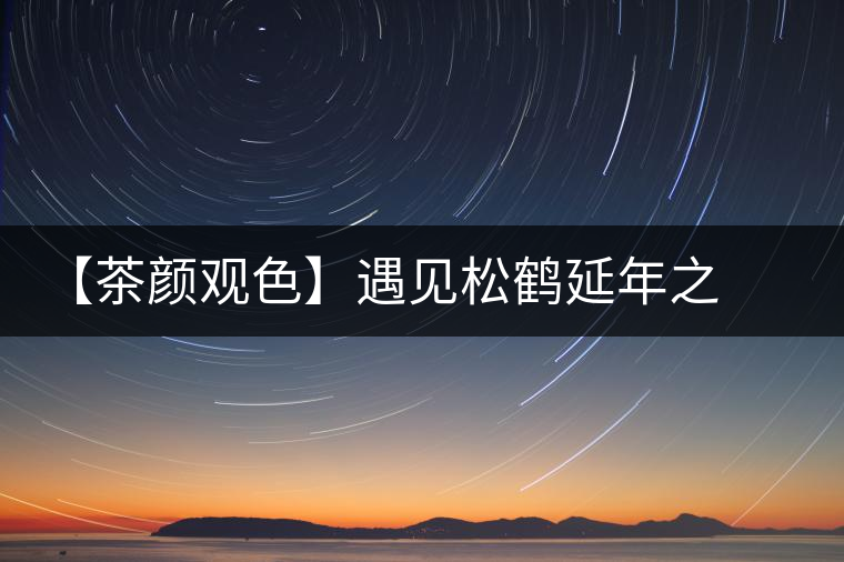 【茶顏觀色】遇見松鶴延年之美 【茶顏觀色】遇見松鶴延年之美