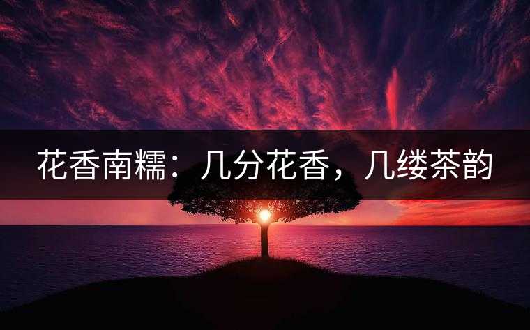 花香南糯：幾分花香，幾縷茶韻