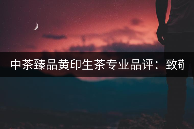 中茶臻品黃印生茶專(zhuān)業(yè)品評(píng)：致敬經(jīng)典 再啟新篇