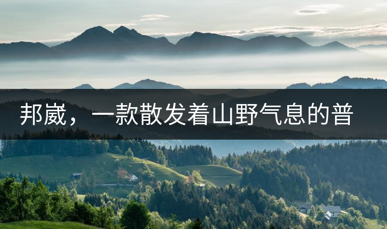 邦崴，一款散發(fā)著山野氣息的普洱