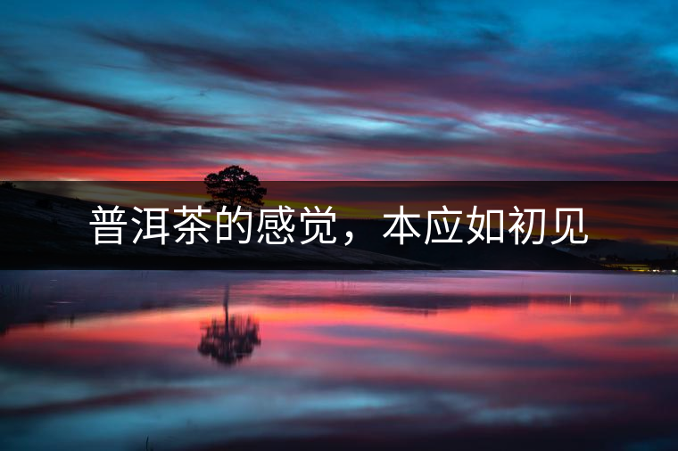 普洱茶的感覺，本應(yīng)如初見