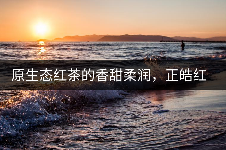 原生態(tài)紅茶的香甜柔潤(rùn)，正皓紅的魅力無(wú)可抵擋！