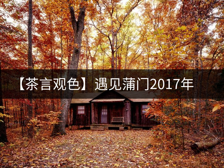 【茶言觀色】遇見(jiàn)蒲門(mén)2017年茗門(mén)一級(jí)工夫紅茶 【茶言觀色】遇見(jiàn)蒲門(mén)2017年茗門(mén)一級(jí)工夫紅茶