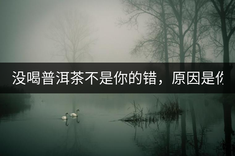 沒喝普洱茶不是你的錯(cuò)，原因是你還沒遇到Y(jié)671與Y562