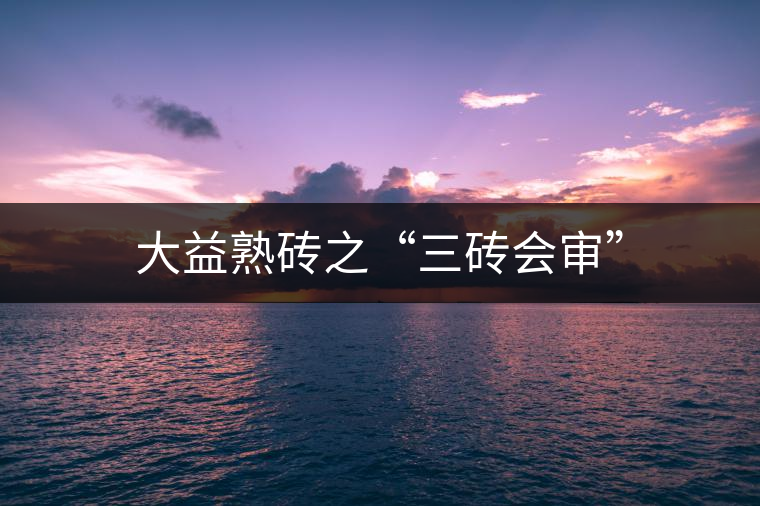 大益熟磚之“三磚會(huì)審” 大益熟磚之“三磚會(huì)審”