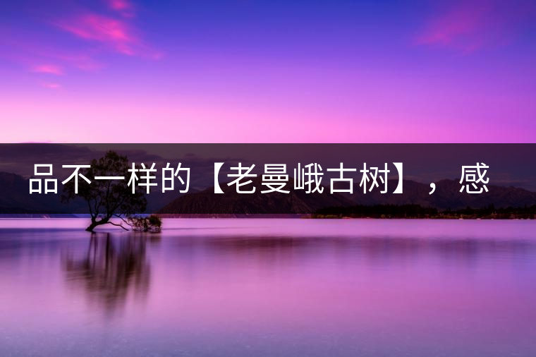 品不一樣的【老曼峨古樹(shù)】，感受別樣甘甜與溫婉