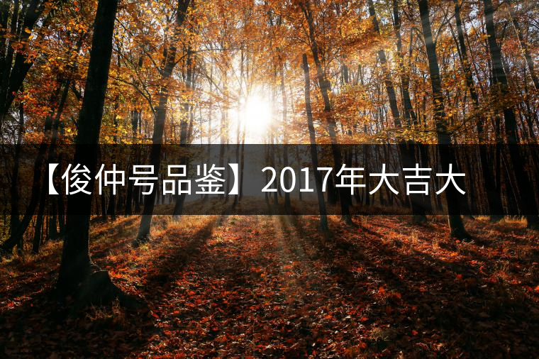 【俊仲號品鑒】2017年大吉大利生餅 【俊仲號品鑒】2017年大吉大利生餅