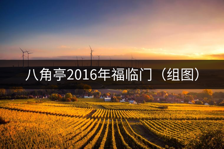 八角亭2016年福臨門（組圖）