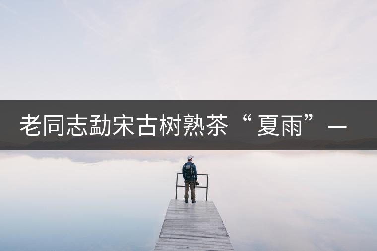 老同志勐宋古樹熟茶“ 夏雨”— 飲茶伴夏，只為您！