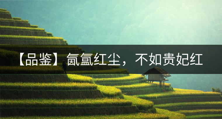 【品鑒】氤氳紅塵，不如貴妃紅一盞