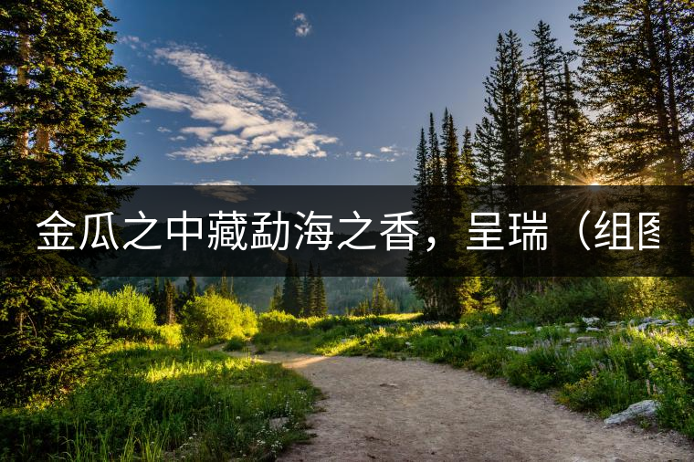 金瓜之中藏勐海之香，呈瑞（組圖）