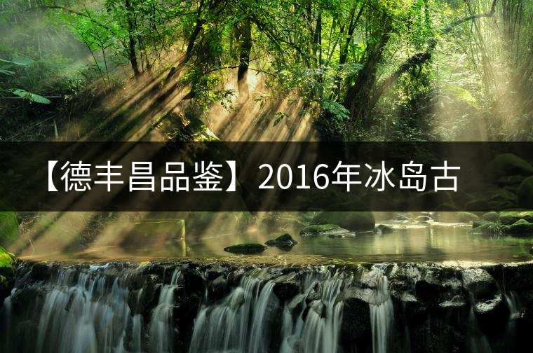 【德豐昌品鑒】2016年冰島古樹(shù)