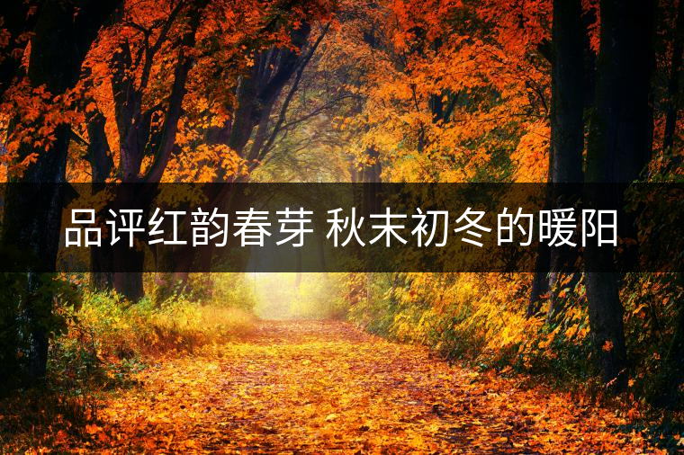 品評(píng)紅韻春芽 秋末初冬的暖陽