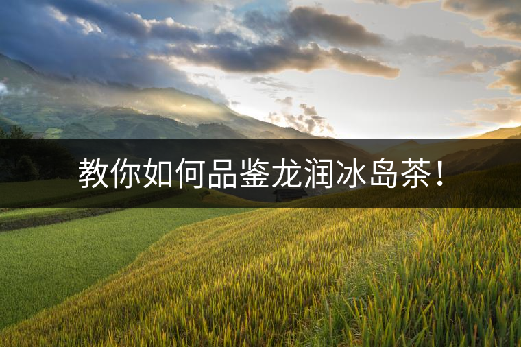教你如何品鑒龍潤(rùn)冰島茶！
