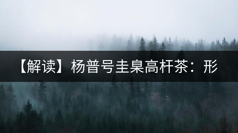 【解讀】楊普號圭臬高桿茶：形高、氣足、韻遠的一款茶