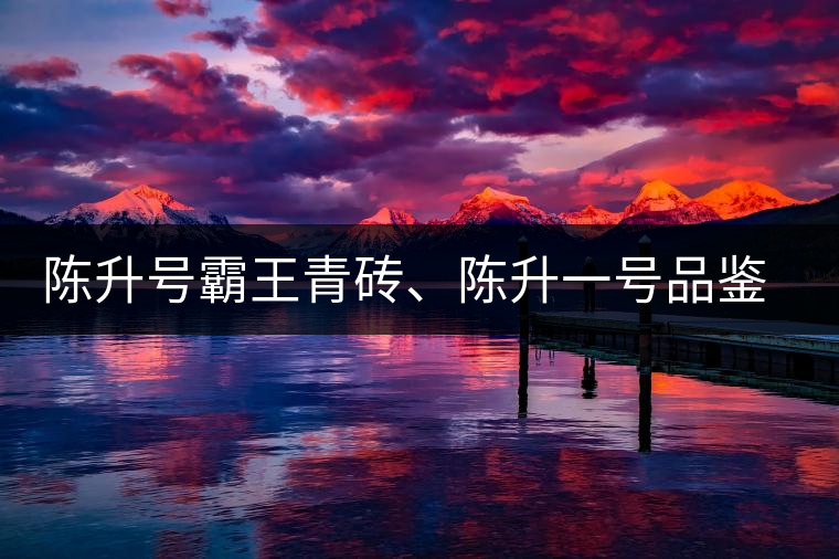 陳升號霸王青磚、陳升一號品鑒【圖】