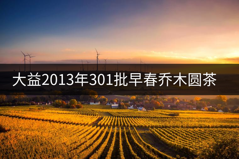 大益2013年301批早春?jiǎn)棠緢A茶開(kāi)湯品鑒