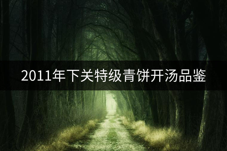 2011年下關(guān)特級青餅開湯品鑒