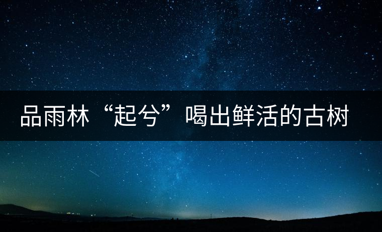 品雨林“起兮”喝出鮮活的古樹茶滋味 品雨林“起兮”喝出鮮活的古樹茶滋味