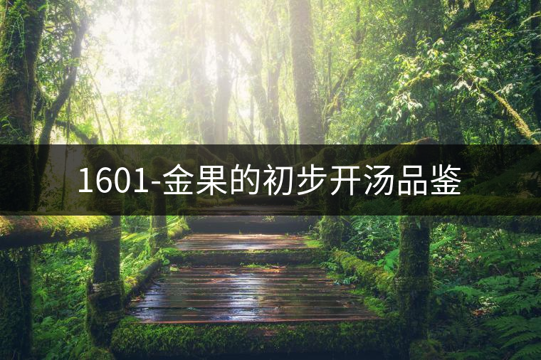 1601-金果的初步開(kāi)湯品鑒 1601-金果的初步開(kāi)湯品鑒