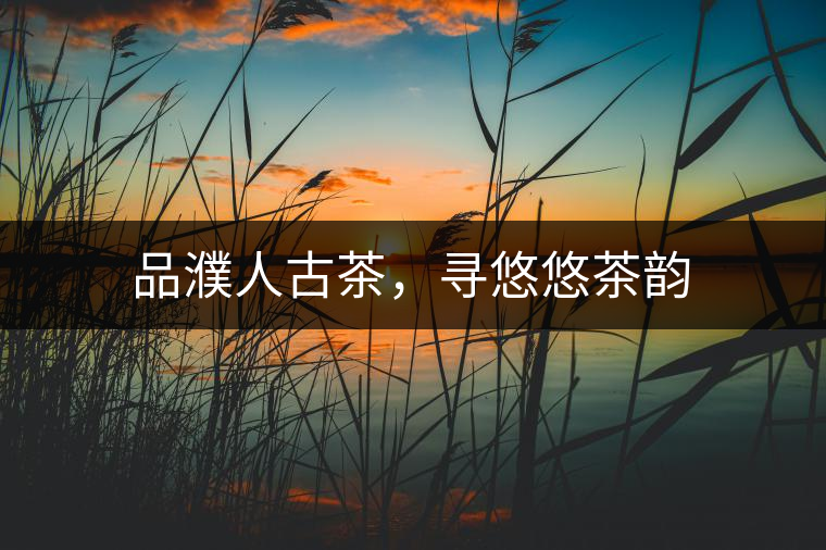 品濮人古茶，尋悠悠茶韻