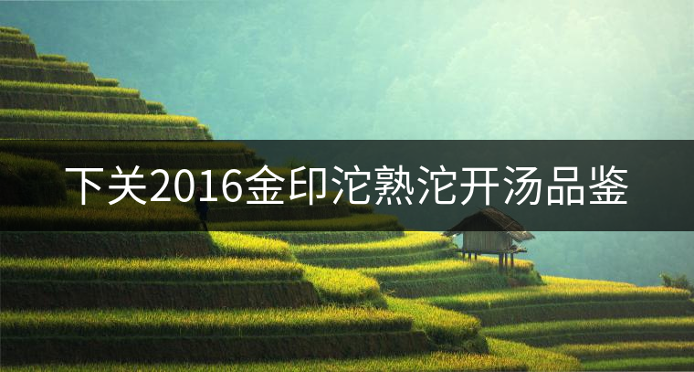 下關2016金印沱熟沱開湯品鑒