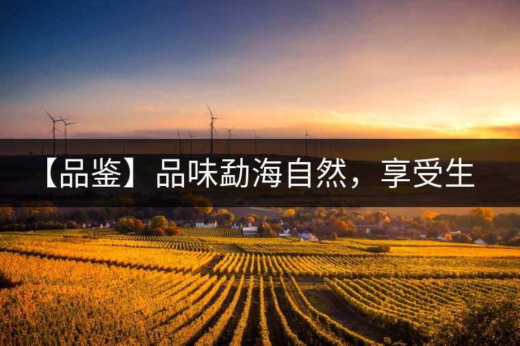 【品鑒】品味勐海自然，享受生活醇香