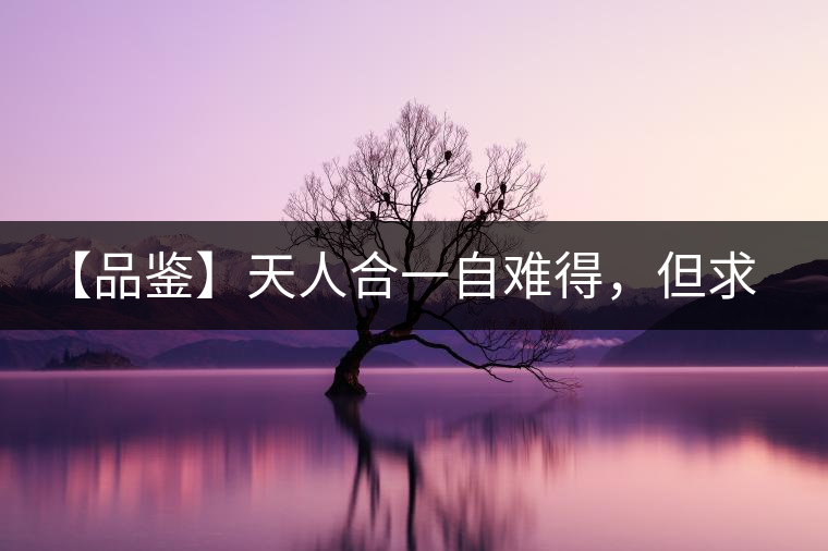 【品鑒】天人合一自難得，但求得茶之本味