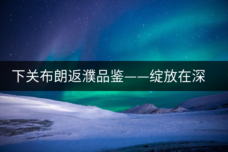 下關(guān)布朗返濮品鑒——綻放在深山里的純粹 下關(guān)布朗返濮品鑒——綻放在深山里的純粹