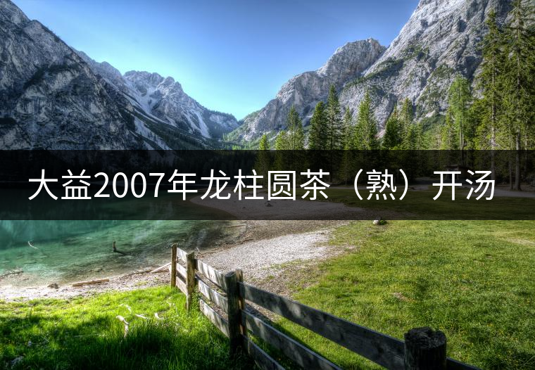 大益2007年龍柱圓茶(熟)開湯品鑒 大益2007年龍柱圓茶(熟)開湯品鑒