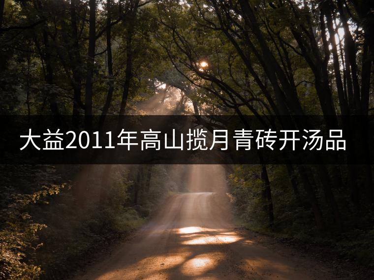 大益2011年高山攬月青磚開湯品鑒 大益2011年高山攬月青磚開湯品鑒