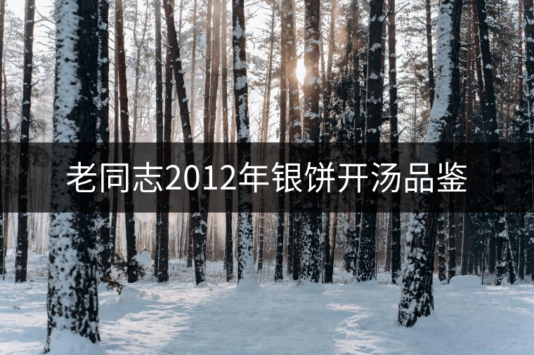 老同志2012年銀餅開(kāi)湯品鑒 老同志2012年銀餅開(kāi)湯品鑒