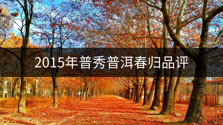 2015年普秀普洱春歸品評(píng)