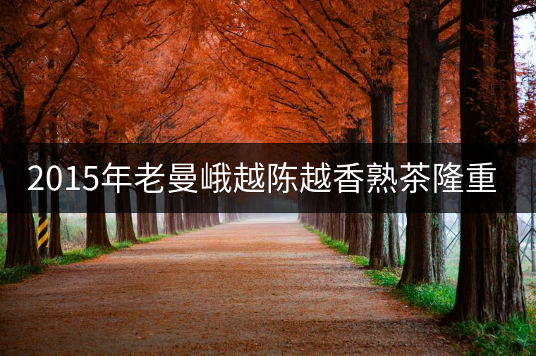 2015年老曼峨越陳越香熟茶隆重上市！