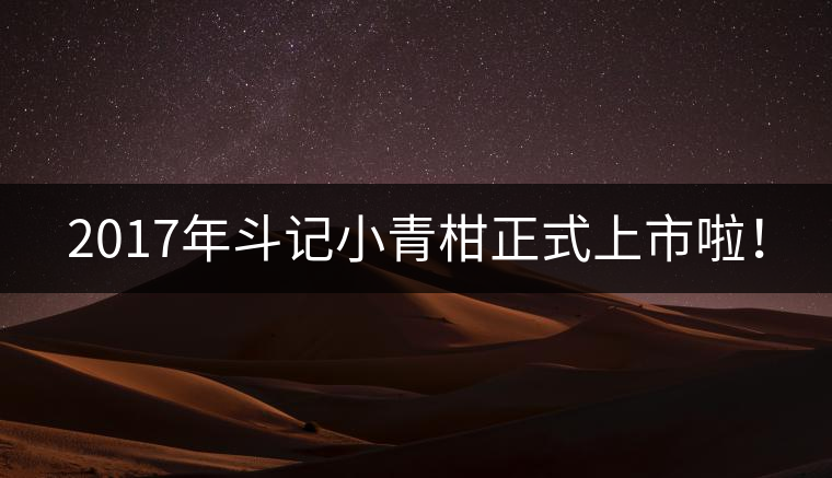 2017年斗記小青柑正式上市啦！