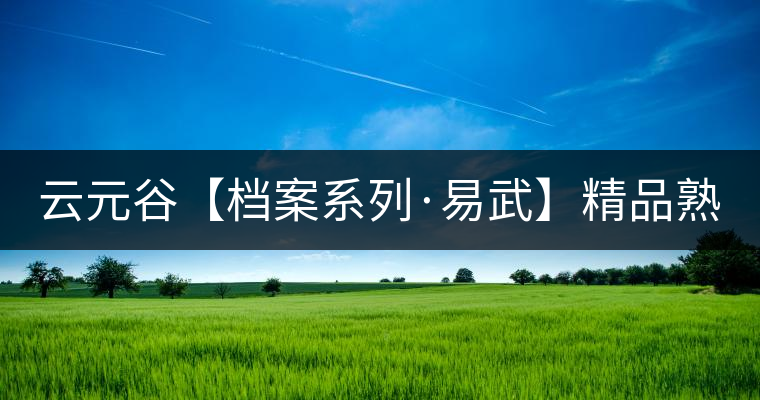 云元谷【檔案系列·易武】精品熟茶，精裝上市！
