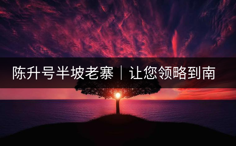 陳升號(hào)半坡老寨｜讓您領(lǐng)略到南糯山大樹(shù)茶口感的地道！