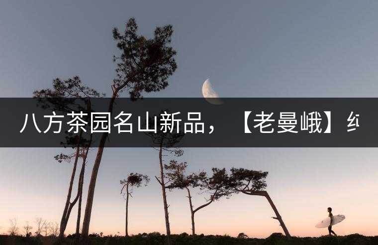 八方茶園名山新品，【老曼峨】純料來襲！