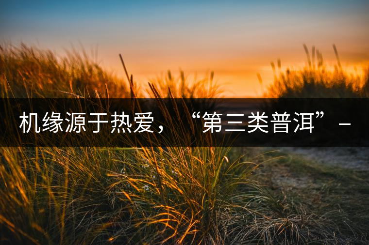機緣源于熱愛，“第三類普洱”——“散壓茶TM”的誕生。