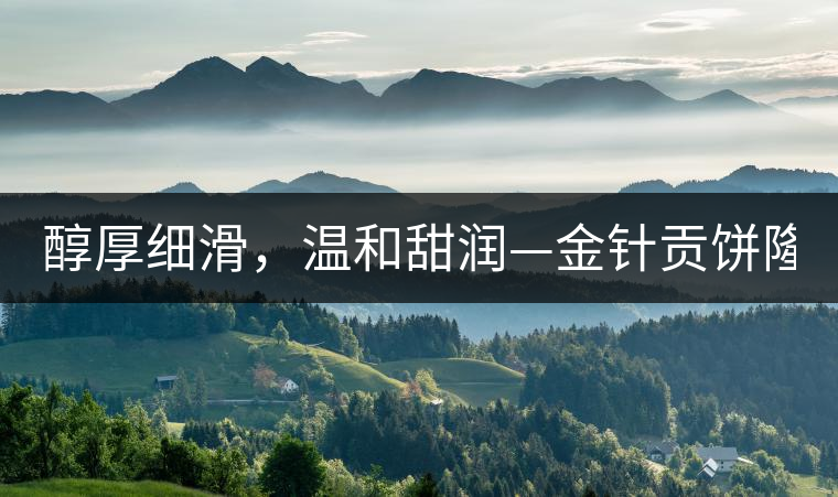 醇厚細(xì)滑，溫和甜潤(rùn)—金針貢餅隆重上市！