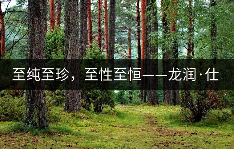 至純至珍，至性至恒——龍潤·仕通茶新上市！