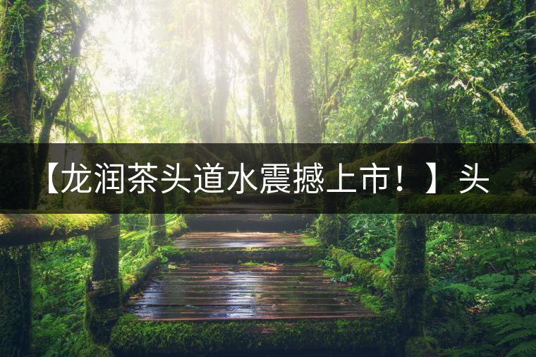 【龍潤(rùn)茶頭道水震撼上市！】頭道水，二道茶，三道四道是精華！