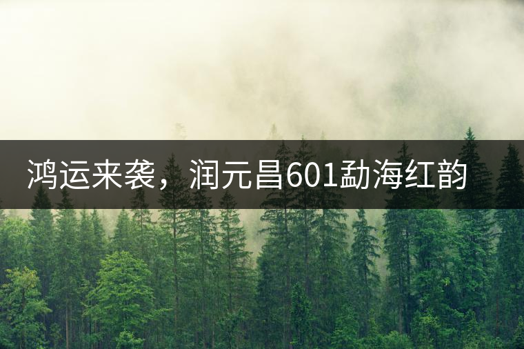 鴻運(yùn)來(lái)襲，潤(rùn)元昌601勐海紅韻熟茶即將上市