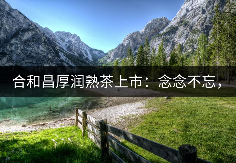 合和昌厚潤熟茶上市：念念不忘，必有回響！