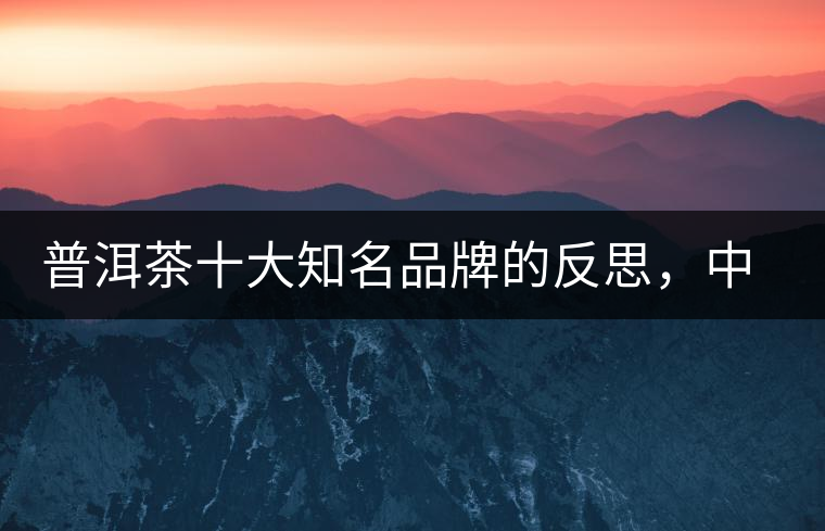 普洱茶十大知名品牌的反思，中國(guó)有沒有真正的普洱茶高端品牌？