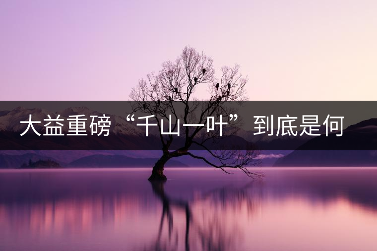 大益重磅“千山一葉”到底是何方神圣？