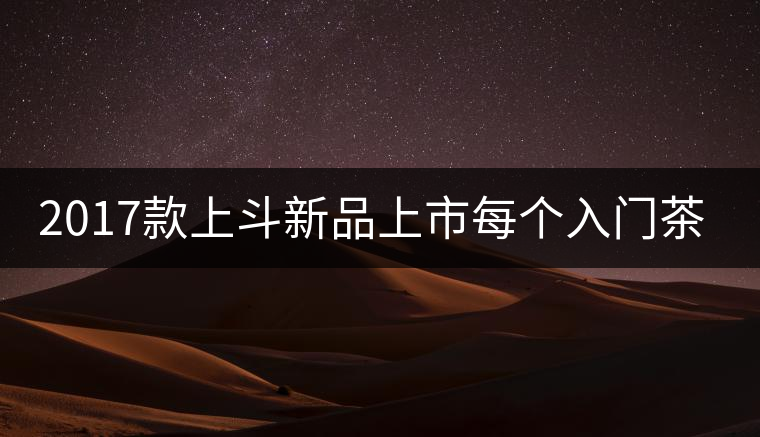 2017款上斗新品上市每個入門茶人都欠自己一餅上斗！