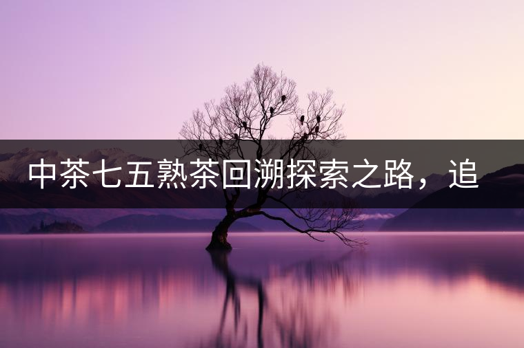 中茶七五熟茶回溯探索之路，追尋歷史印跡