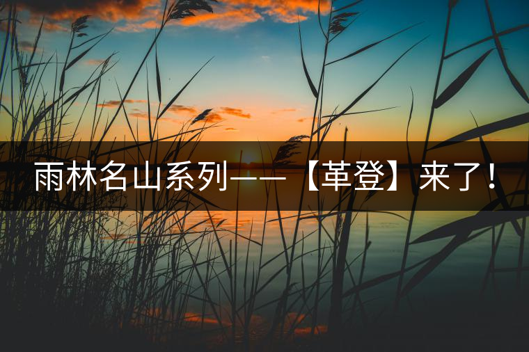 雨林名山系列——【革登】來(lái)了！