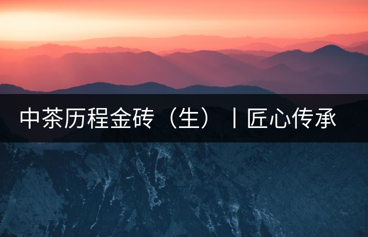 中茶歷程金磚（生）丨匠心傳承，精品迭出